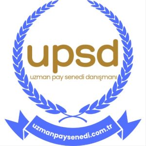 hisse senedi çıkarma şartları