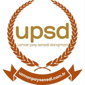hisse senedi ihracı